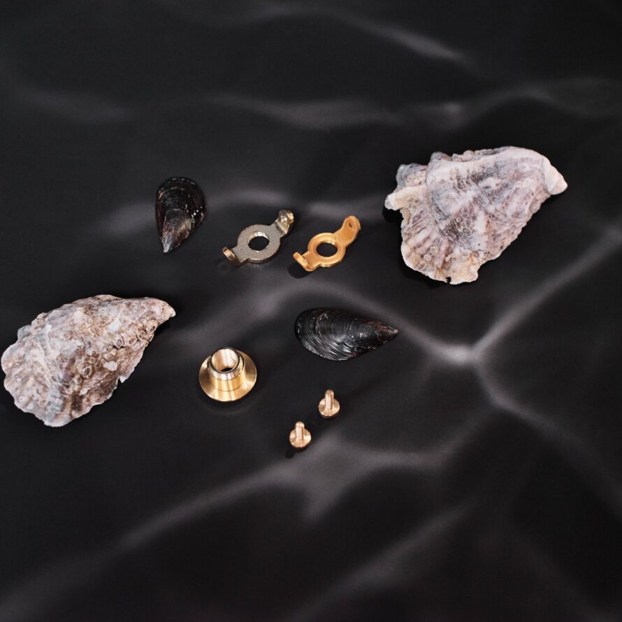 MUSSELS_collection_BOMMA_ph_Veskrna1